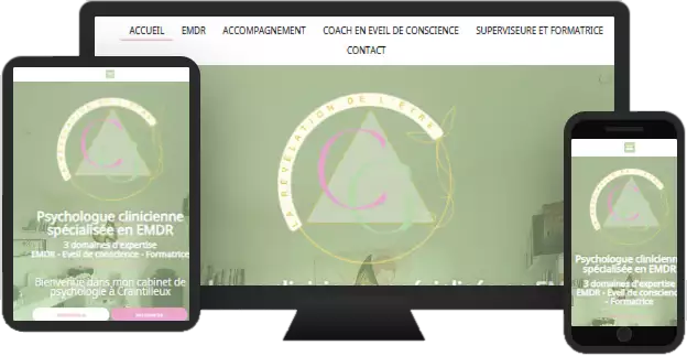 Aperçu du site web CARINE GAUDARD PSYCHOLOGUE - vitrine réalisé par Sycow Solutions