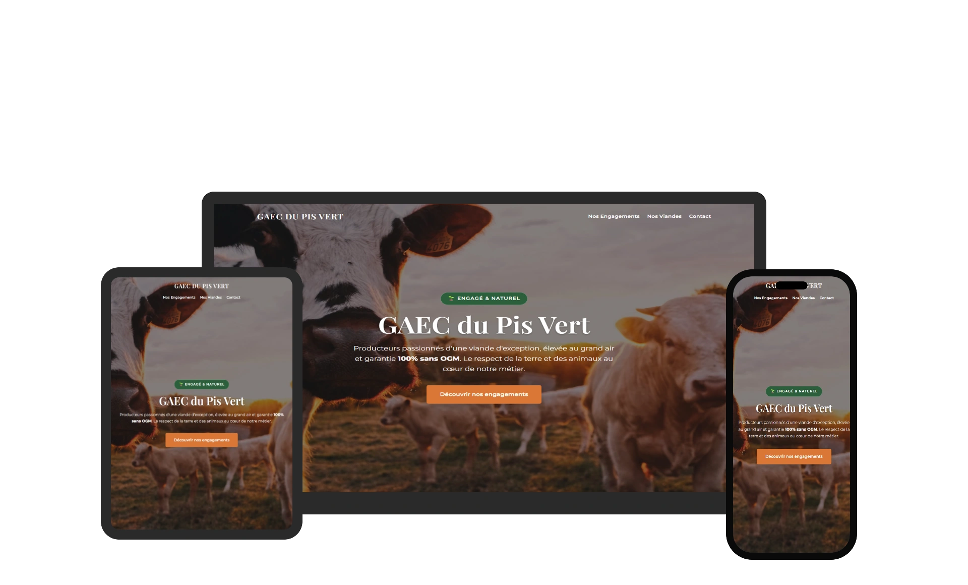 Aperçu du site GAEC PIS VERT réalisé par Sycow Solutions