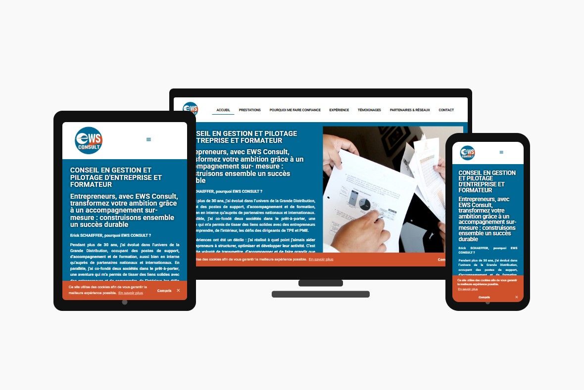 EWS Consult, conseil en gestion et pilotage d'entreprise